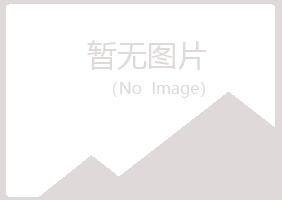 城口县夏岚制造有限公司